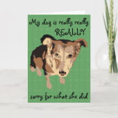 私の犬は挨拶状を書くのが本当に残念です カード (正面)