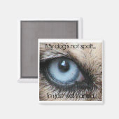 私の犬は甘やかされていない、私はちょうど十分に訓練されている マグネット (正面/裏面)