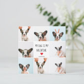 私の犬は私のバレンタイン |犬の写真2枚 (スタンド正面)