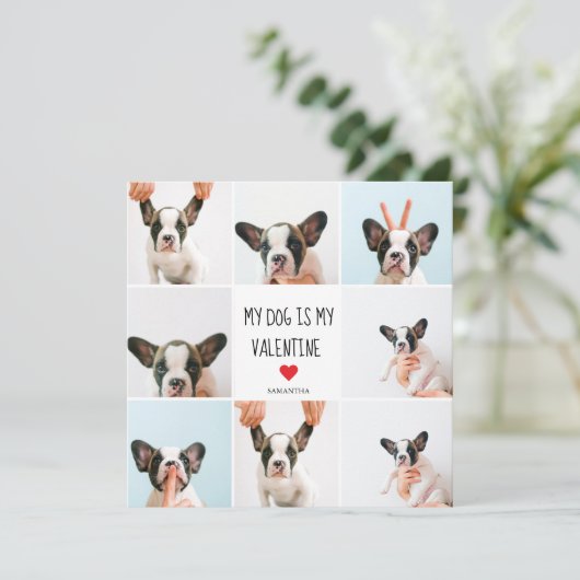 私の犬は私のバレンタイン |犬の写真2枚 (スタンド正面)