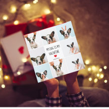 私の犬は私のバレンタイン |犬の写真2枚