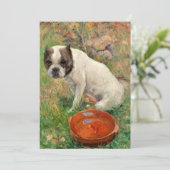 私の犬 | カール・ゲオルグ・アルセニウス (スタンド正面)