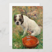 私の犬 | カール・ゲオルグ・アルセニウス (正面/裏面)