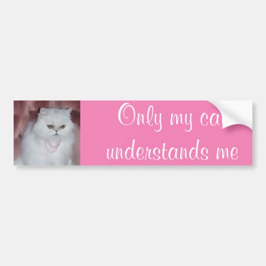 私の猫だけ私のバンパーステッカーのペルシャ語言うことがわかります バンパーステッカー (正面)