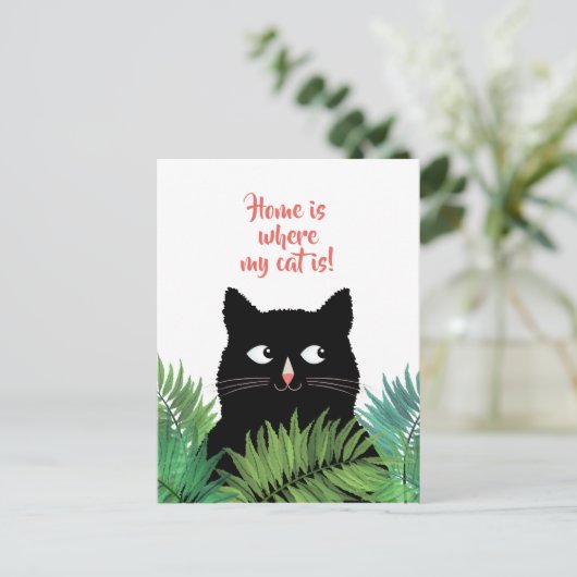 私の猫の住んでいる家は、アナウンスメントの場所 ポストカード (スタンド正面)