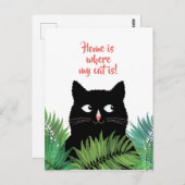 私の猫の住んでいる家は、アナウンスメントの場所 ポストカード (正面/裏面)