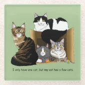 私の猫は猫を飼っている ガラスコースター (正面)
