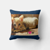 私の猫ハート クッション (裏面)