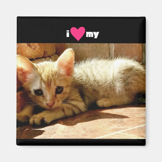 私の猫ハート マグネット (正面)