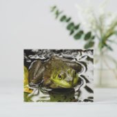 私の王子 ポストカード (スタンド正面)