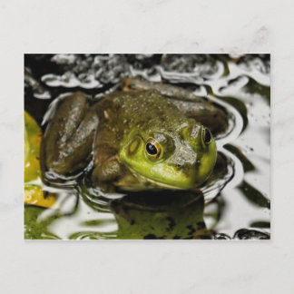 私の王子 ポストカード