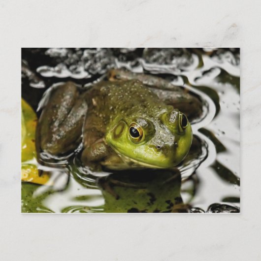 私の王子 ポストカード (正面)