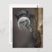 私の理容師?ポストカード ポストカード (正面/裏面)