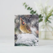 私の目は得あなたに向いている ポストカード (スタンド正面)