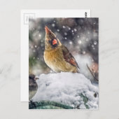 私の目は得あなたに向いている ポストカード (正面/裏面)