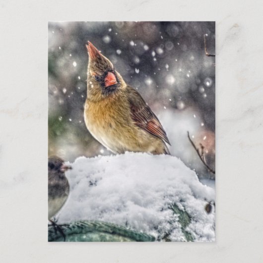 私の目は得あなたに向いている ポストカード (正面)