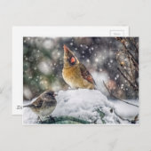 私の目は得あなたに向いている ポストカード (正面/裏面)