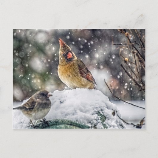 私の目は得あなたに向いている ポストカード (正面)