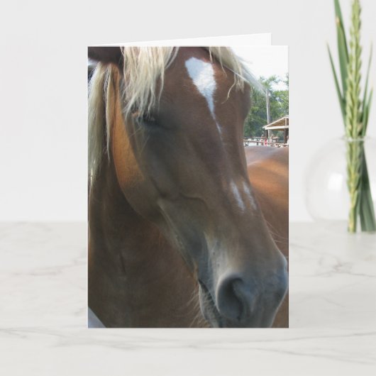 私の目を常につかまえます シーズンカード (正面)