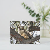 私の目を愛してる？-ポストカード ポストカード (スタンド正面)