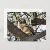 私の目を愛してる？-ポストカード ポストカード (正面/裏面)