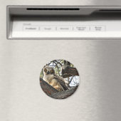 私の目を愛してる？-マグネット マグネット (インサイチュ (食洗機))