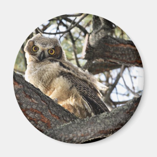 私の目を愛してる？-マグネット マグネット (正面)