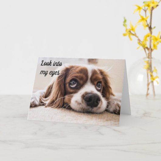 *私の目を見て*誕生日が「あなた」を願う カード (黄色い花)