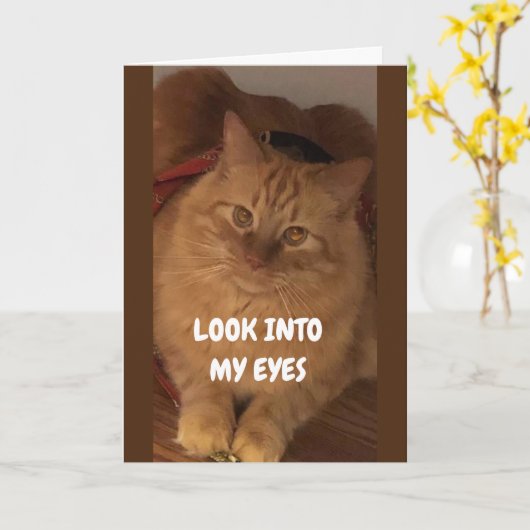 私の目を見る"ハッピーバースデーあなたへ" カード (黄色い花)