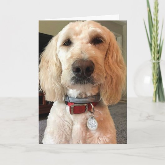 私の目を見***ハッピーバースデー*** カード (正面)