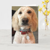 私の目を見***ハッピーバースデー*** カード (黄色い花)