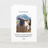 "私の目"のヒツジの挨拶状検討して下さい カード (裏面)