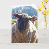 "私の目"のヒツジの挨拶状検討して下さい カード (黄色い花)