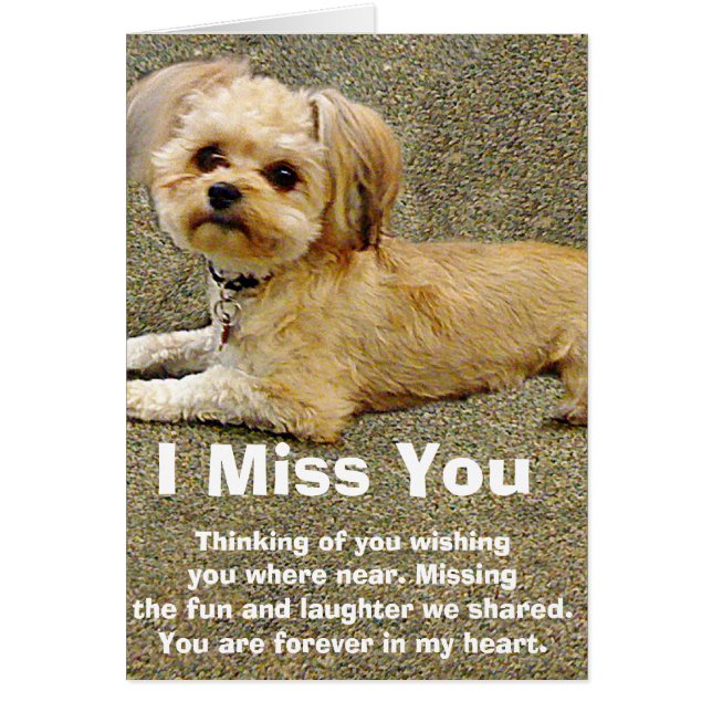 私の相棒 (正面)