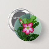 私の砂漠バラ 缶バッジ (正面&裏面)