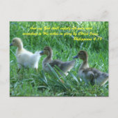 私の神は、あなたのすべての必要を満たすであろう ポストカード (正面)