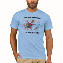 私の神経に何がありますか。 髄鞘外装