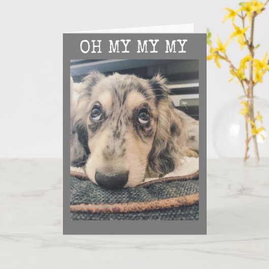 私の私の私の私の私のカード***16** カード (黄色い花)