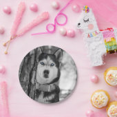 私の空色の目 ペーパープレート (パーティー)