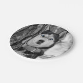 私の空色の目 ペーパープレート (アングル)