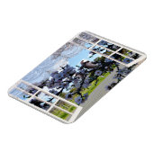 私の窓の中のコカブラス マグネット (左側)