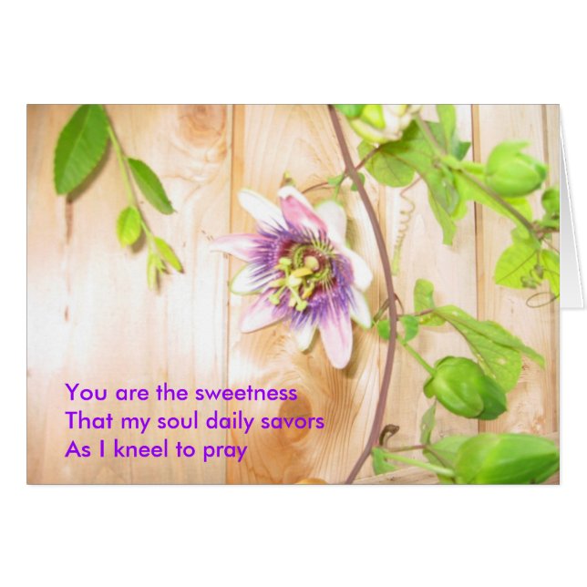 私の精神は毎日満喫します (正面横)