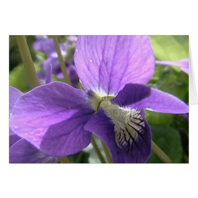 私の精神を着色して下さい (正面横)