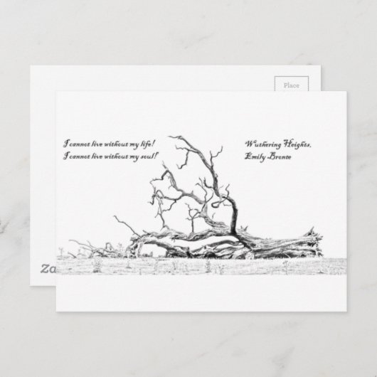 私の精神嵐が丘なしに住むことができません ポストカード (正面/裏面)