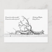 私の精神嵐が丘なしに住むことができません ポストカード (正面)