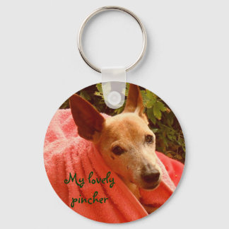 私の素敵なピンチャー キーホルダー