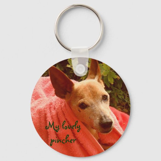 私の素敵なピンチャー キーホルダー (正面)