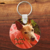 私の素敵なピンチャー キーホルダー (正面)