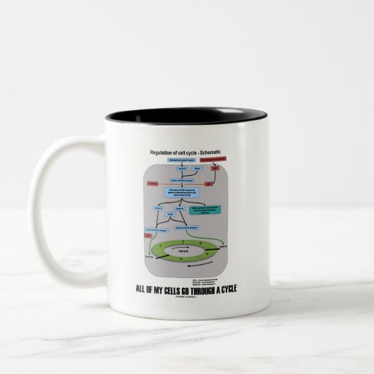 私の細胞すべては周期(生物学)を通って行きます ツートーンマグカップ (左)
