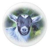 私の絵画ピグミーヤギのサバンナの セラミックノブ (正面)